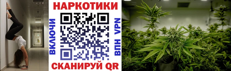 Как найти наркотики Асино A-PVP  Мефедрон  Канабис  МЕТАДОН  КОКАИН 