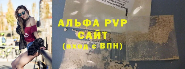 прущие грибы Иннополис