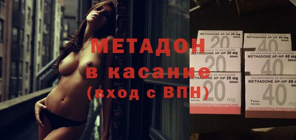 индика Алексин