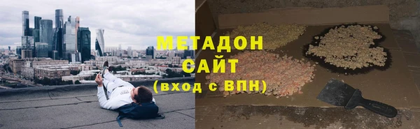 индика Алексин