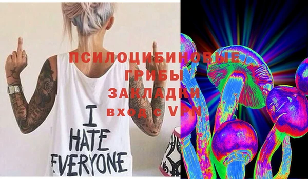 сатива Алексеевка