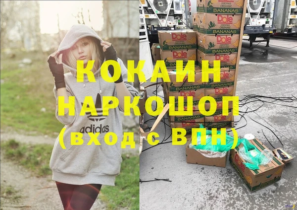 индика Алексин