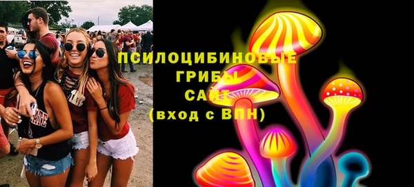 индика Алексин