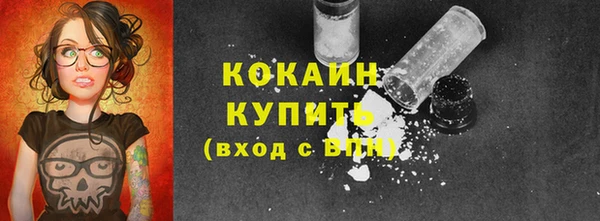 индика Алексин