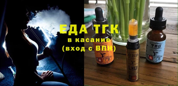 индика Алексин