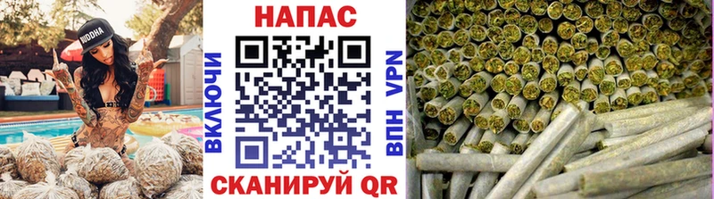 МАРИХУАНА семена как найти Асино